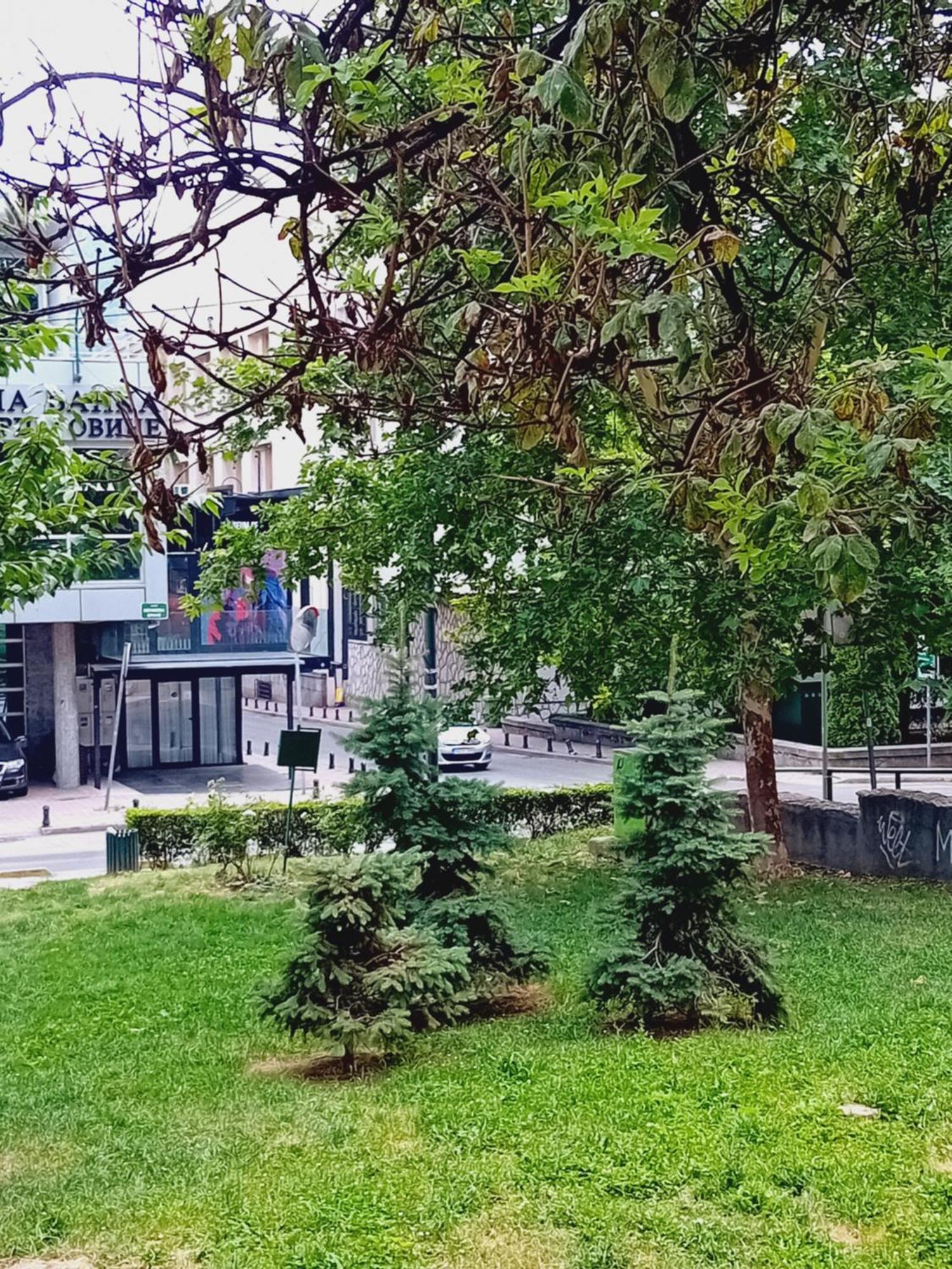 Floki Studio In The Center Sarajevo Exterior photo